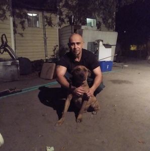 Meet your Posher, Abel